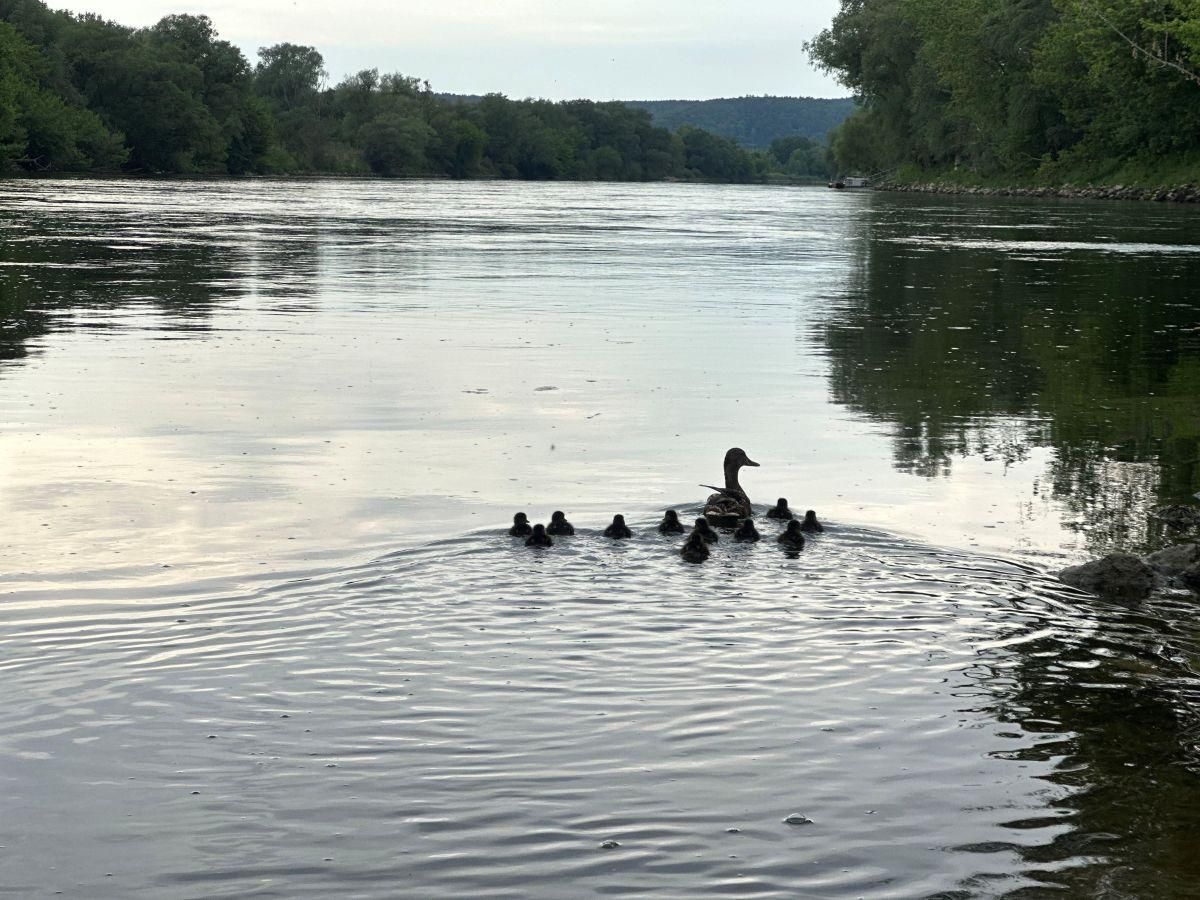Technische Hilfeleistung